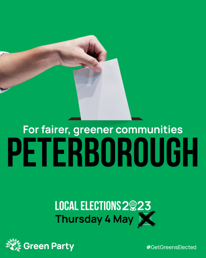 Get Greens Elected!
